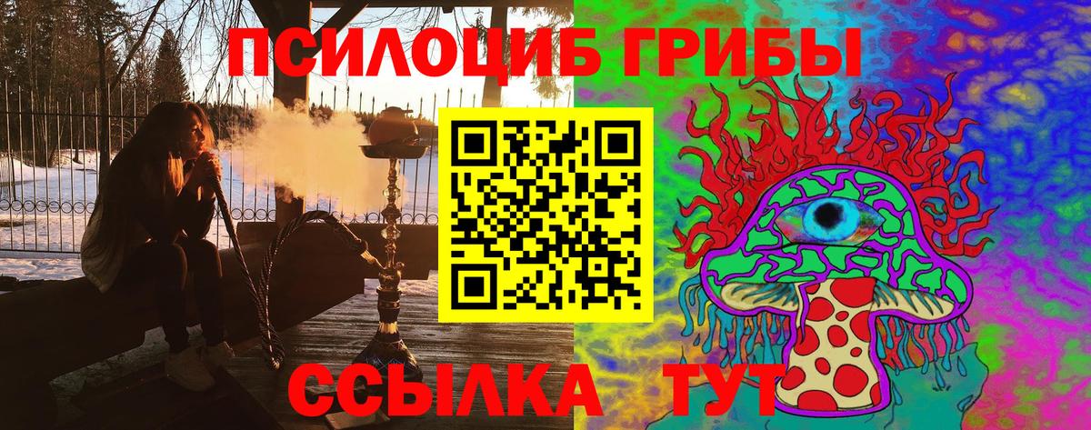 Псилоцибиновые грибы мицелий  Галлюциногенные грибы мицелий  Вход с VPN  Киселёвск 
