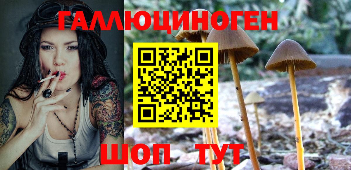 Псилоцибиновые грибы ЛСД Киселёвск