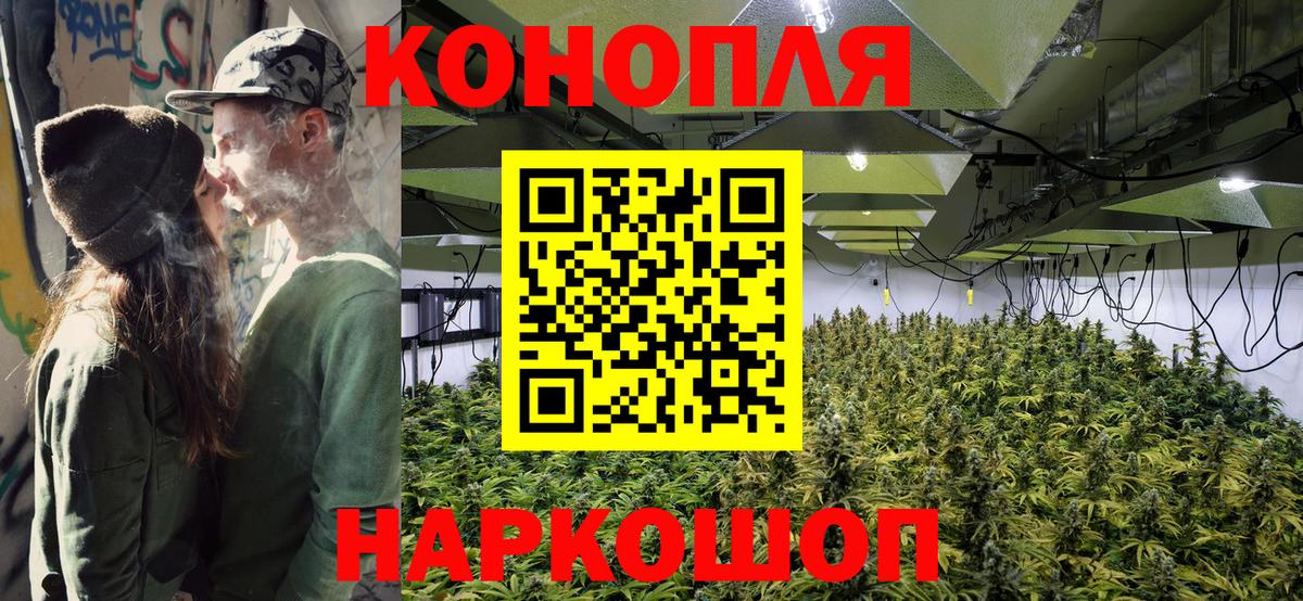 Киселёвск  Бошки марихуана планчик  МАРИХУАНА AK-47  Марихуана Bruce Banner  Вход с VPN  Каннабис планчик 